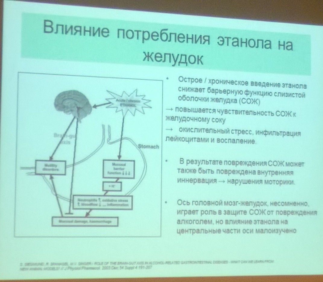  ьоргенгв