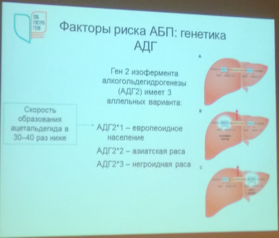 тилоргарс ь
